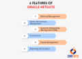 NetSuite vs Oracle: 5 Core Variations Explained - Core Devs Ltd